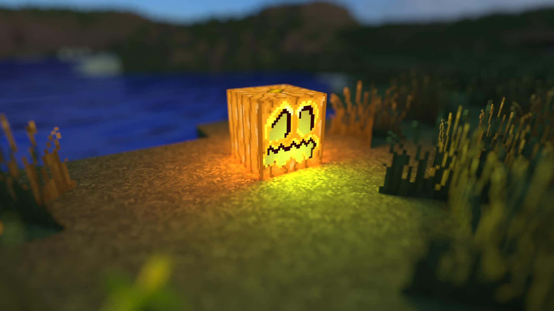Minecraft, jack-o'-lantern cube, grassy shore, Full HD Desktop Wallpaper