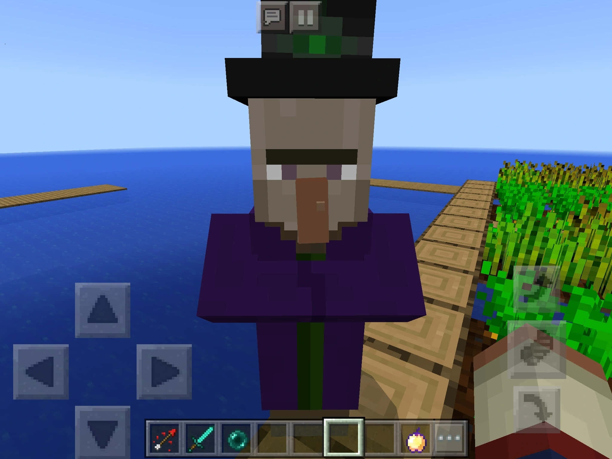 Minecraft witch, wooden dock, field of crops, Full HD Desktop Wallpaper