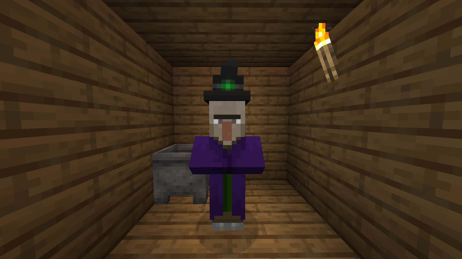 Minecraft Witch, purple robe, black hat, Full HD Desktop Wallpaper