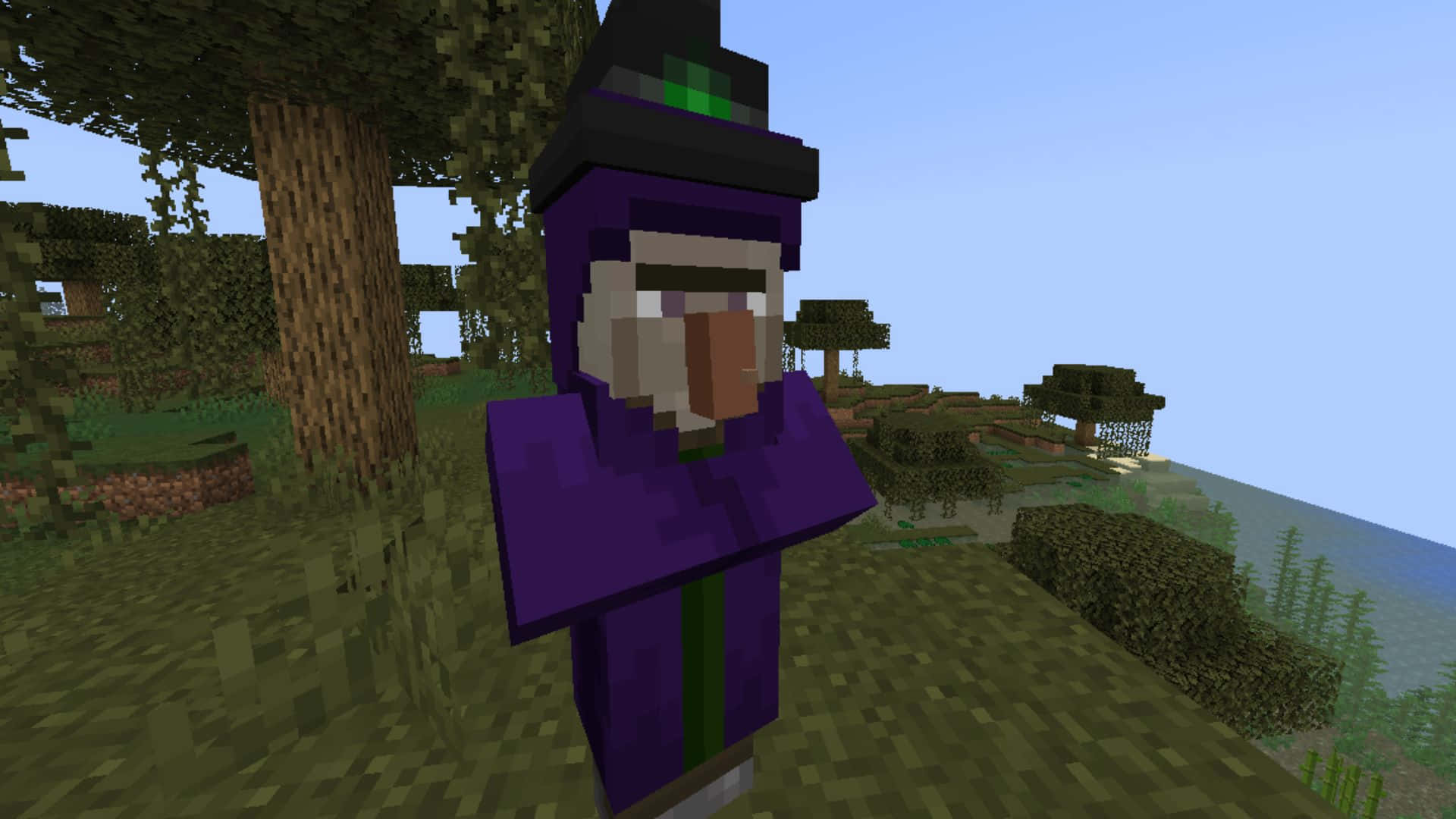 Minecraft Witch, purple robe, black hat, Full HD Desktop Wallpaper