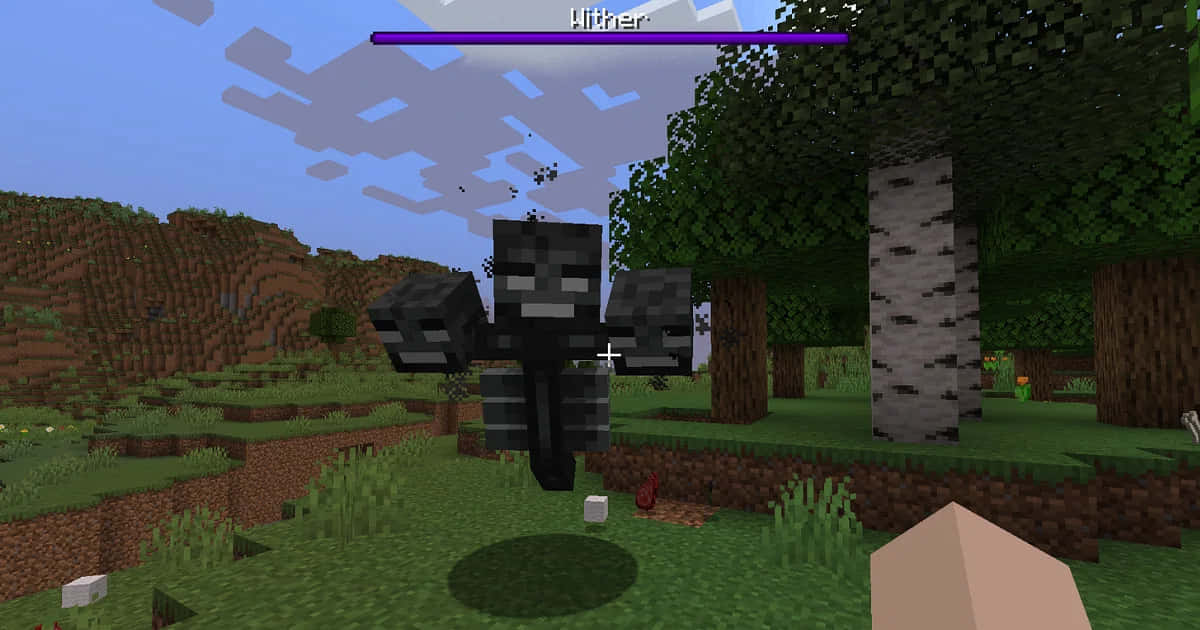 Minecraft Wither Boss, grassy Minecraft biome, birch trees, SD Desktop Wallpaper