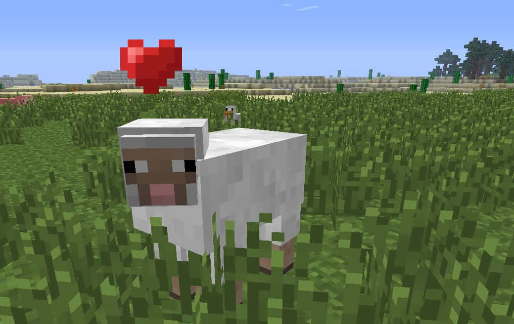 Minecraft Pets, pixelated sheep, grassy field, SD Desktop Wallpaper