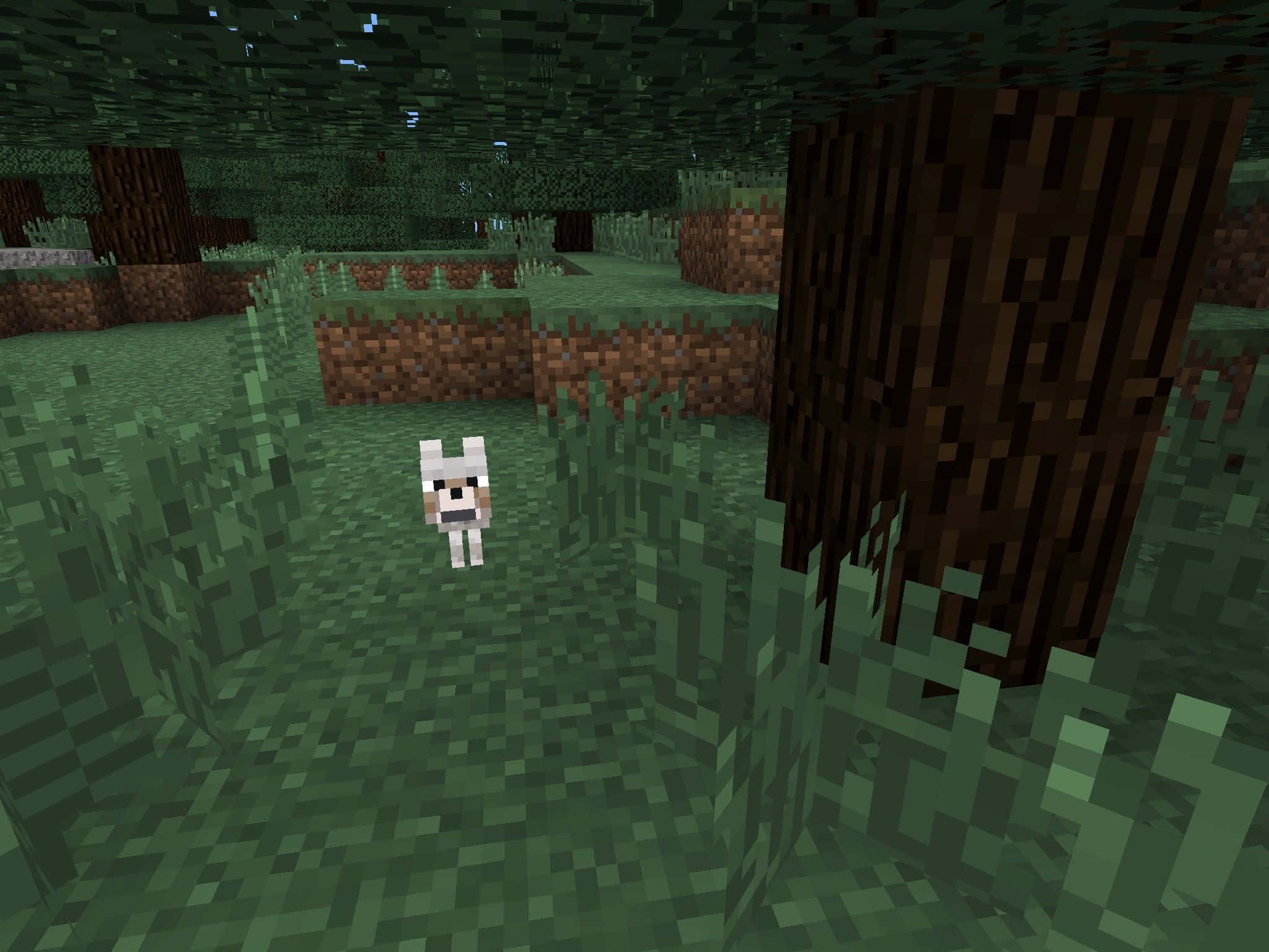 Minecraft, white sheep, blocky forest, Full HD Desktop Wallpaper