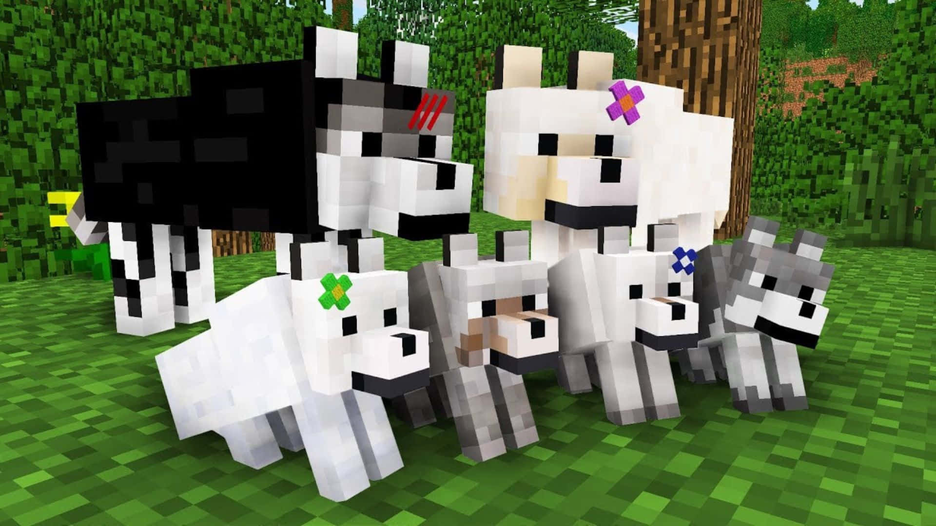 Minecraft Wolf, colorful flower accessories, grassy forest clearing, Full HD Desktop Wallpaper