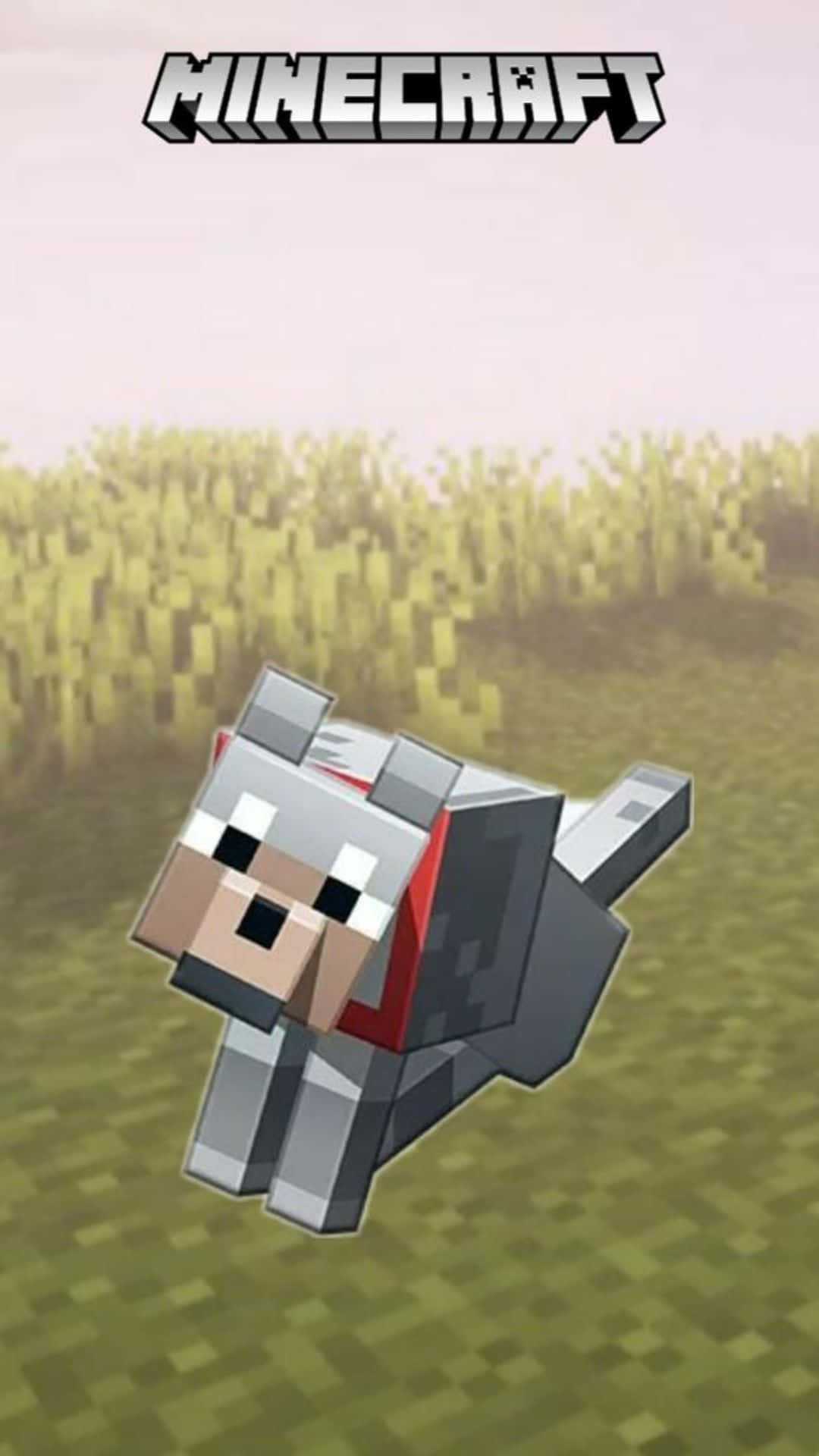 Minecraft wolf, red collar, grassy field, Full HD Phone Wallpaper