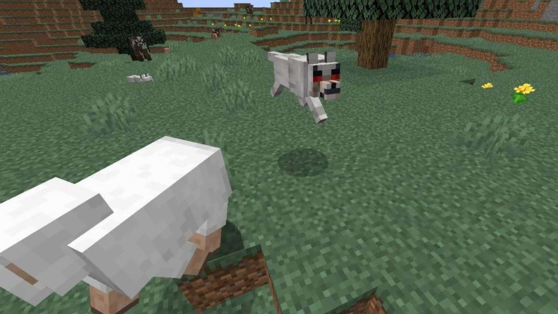 Minecraft Wolf, grassy field, sheep, Full HD Desktop Wallpaper