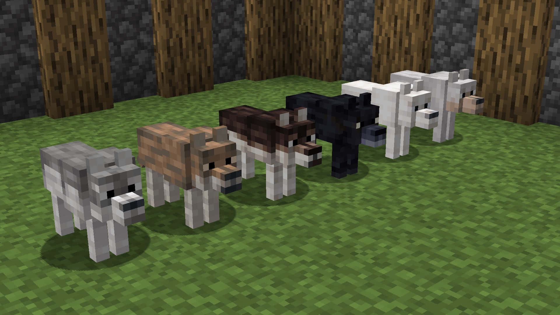 Minecraft Wolf, pixelated, green grass, Full HD Desktop Wallpaper