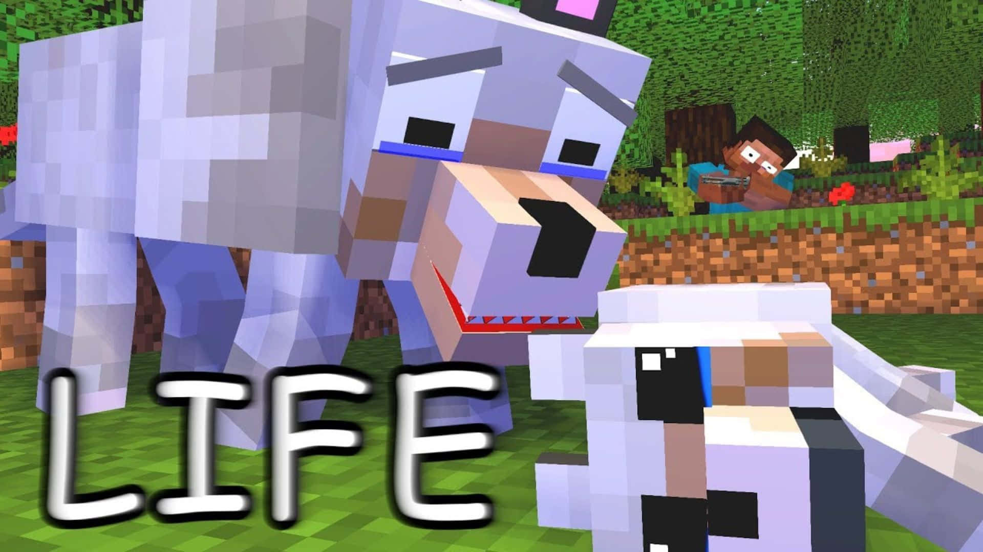 Minecraft wolf, pixelated, grassy field, Full HD Desktop Wallpaper