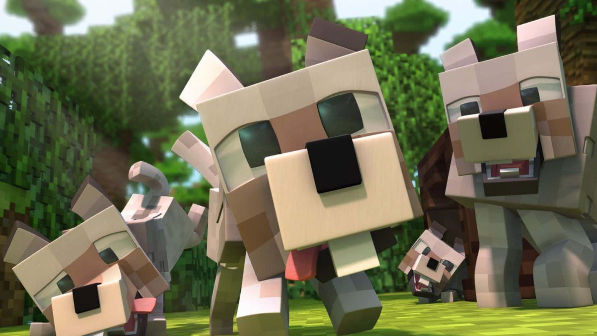 Minecraft Wolf, blocky pixelated dogs, grassy forest clearing, Full HD Desktop Wallpaper