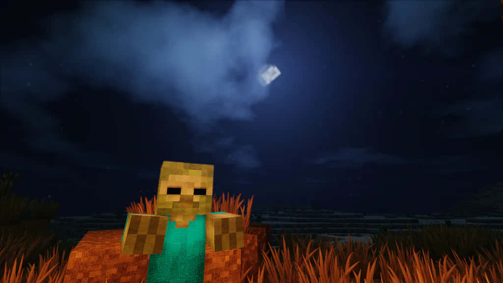 Minecraft Zombie, tall grass, starry night sky, SD Desktop Wallpaper
