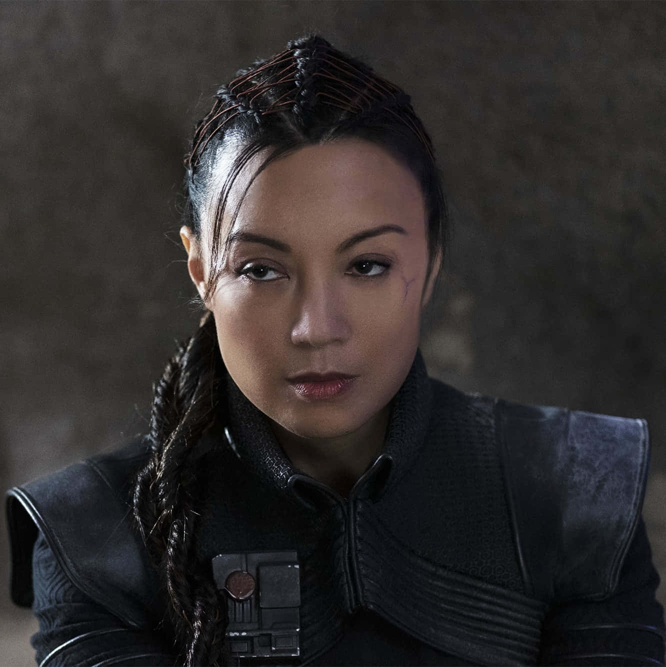 Ming Na Wen, braided hair, scar, HD Phone Wallpaper