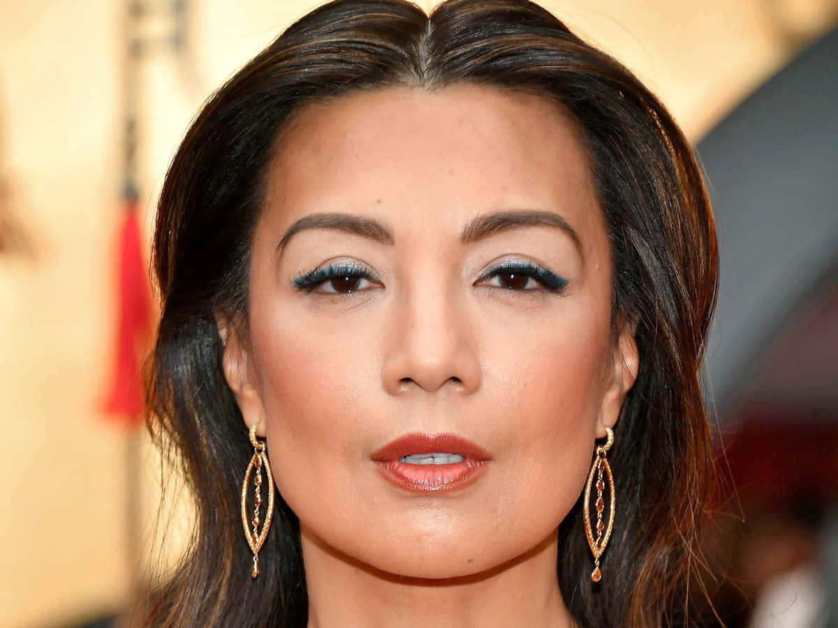 Ming Na Wen, gold hoop earrings, dark hair, SD Desktop Wallpaper
