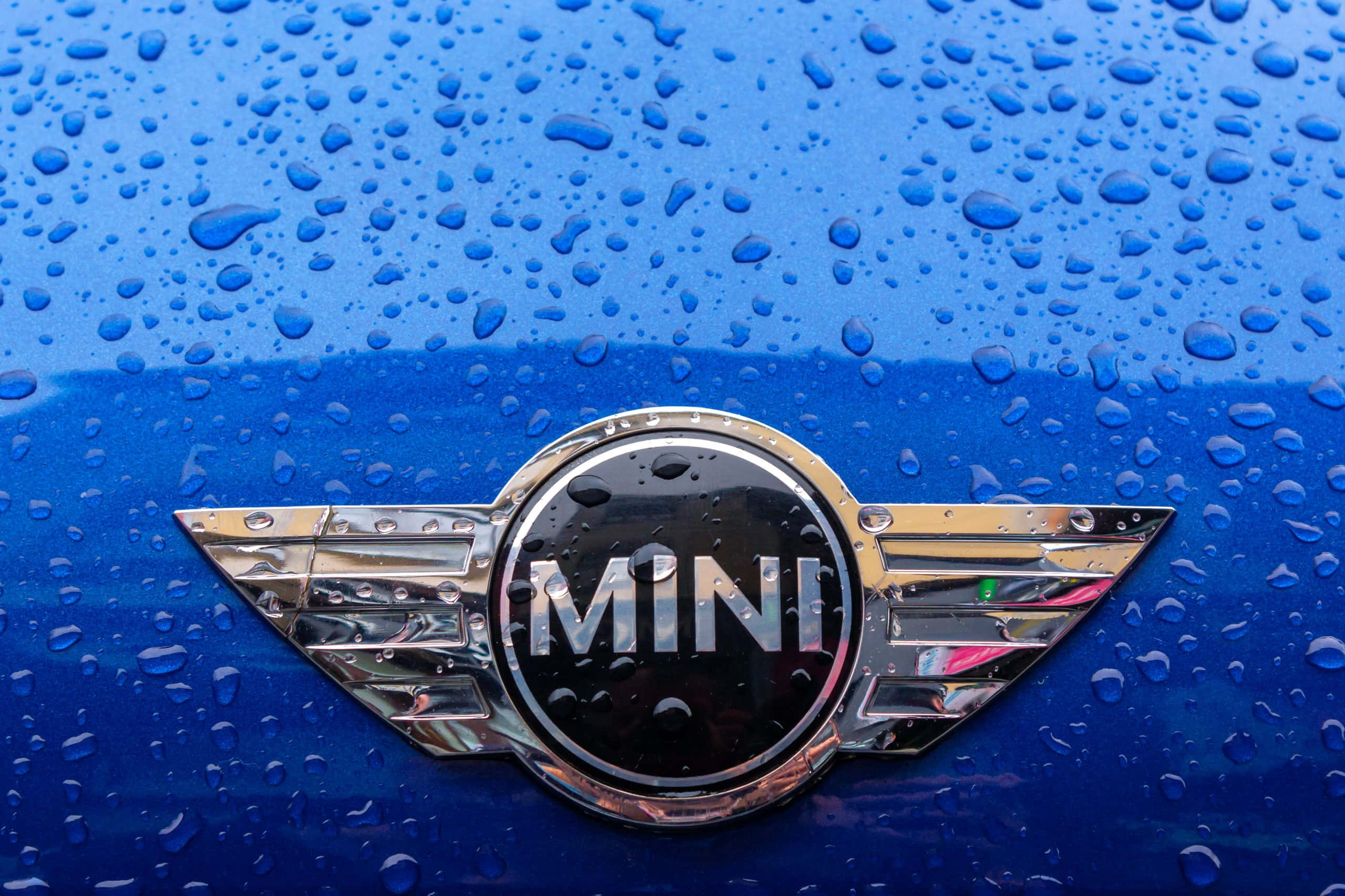 MINI logo, chrome, vibrant blue car hood, 2K Desktop Wallpaper