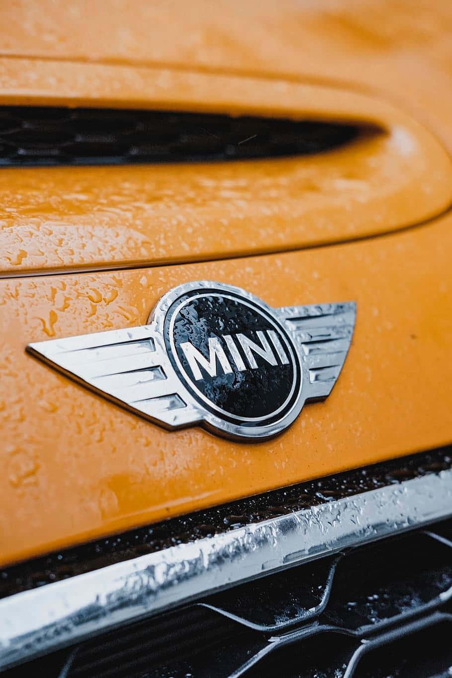 Mini Cooper Logo, orange car, chrome wings, HD Phone Wallpaper