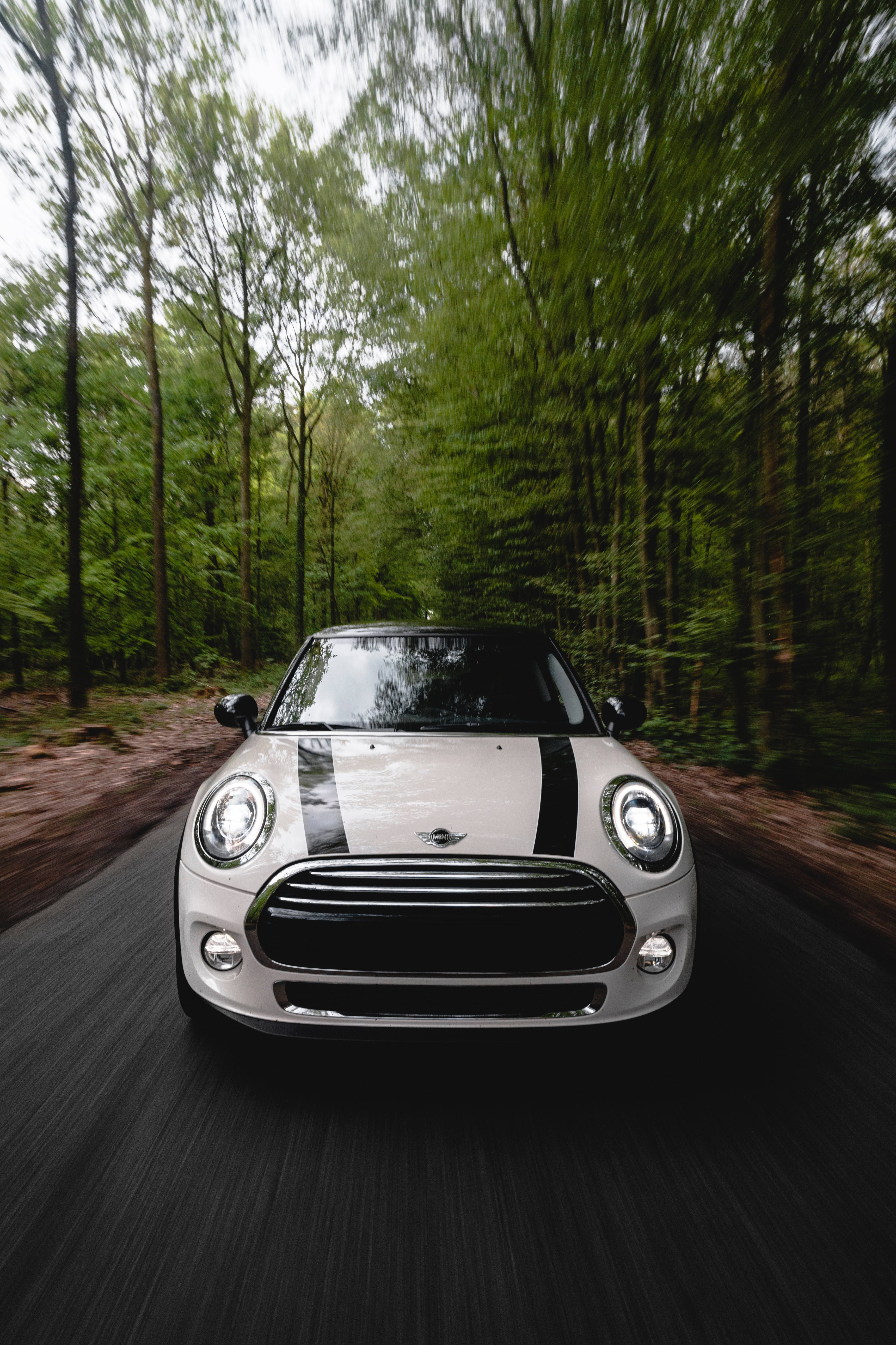 Mini Cooper, white, black racing stripes, 5K Phone Wallpaper