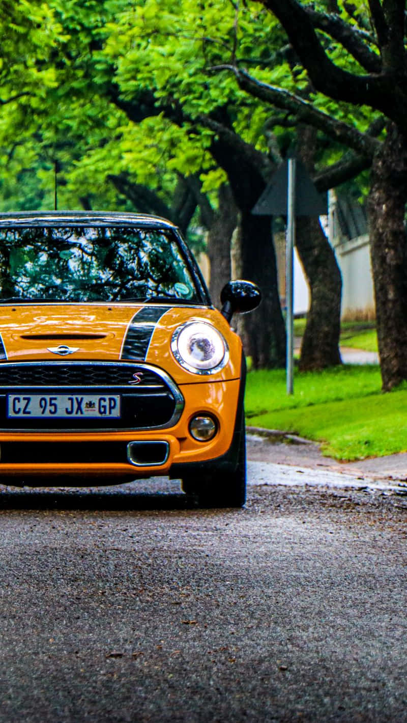 Orange Mini Cooper S, wet asphalt road, lush green trees, HD Phone Wallpaper