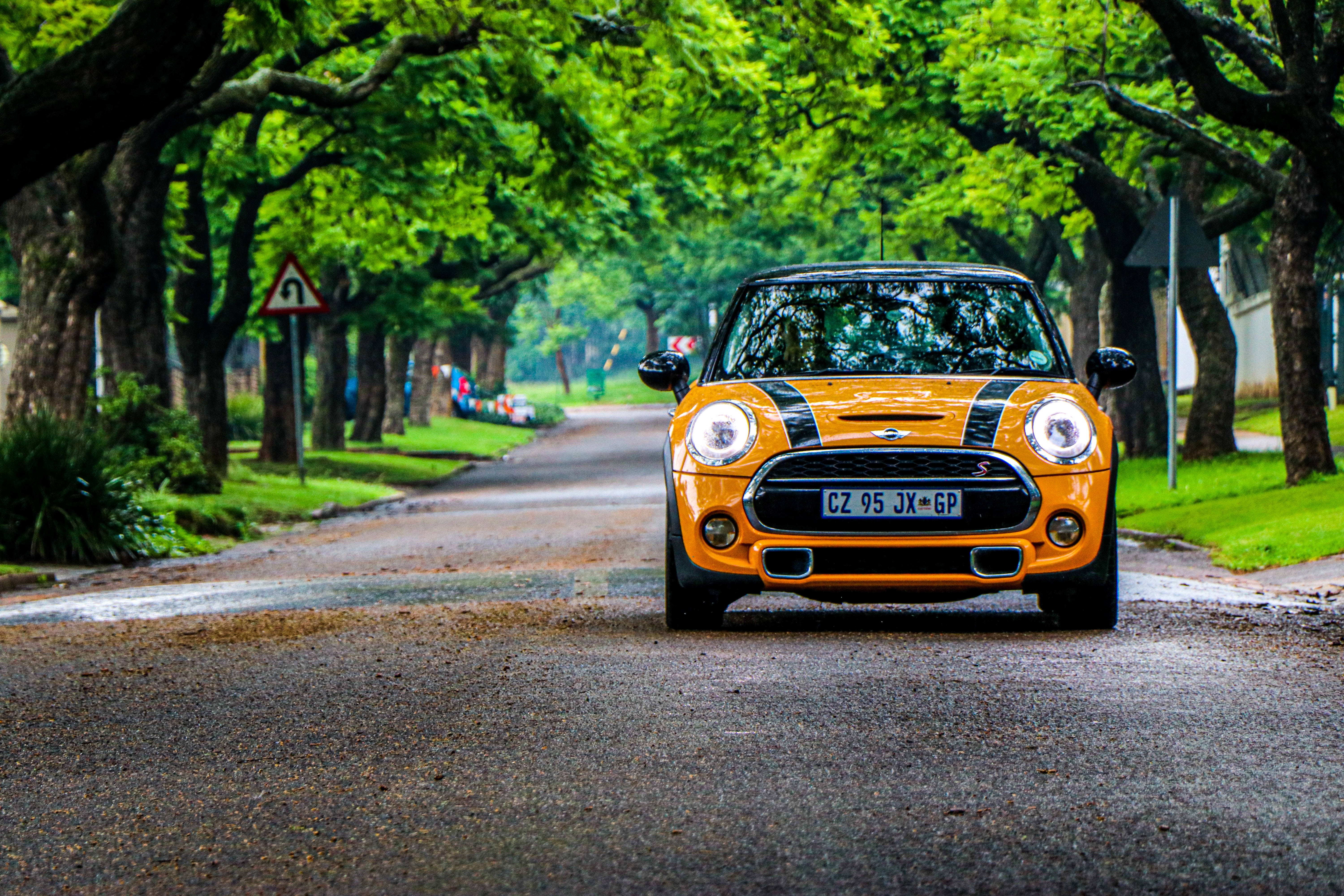 Mini Cooper, forest, tree-lined road, 5K Desktop Wallpaper