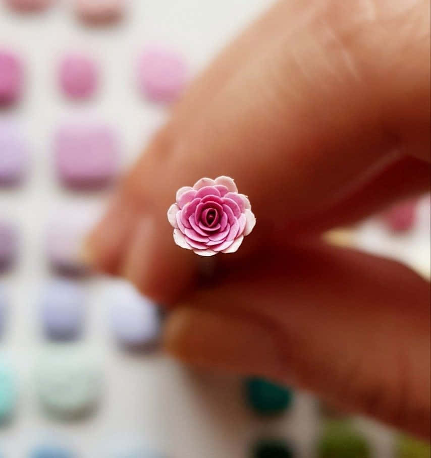 Miniature Roses, pink paper rose, pastel colored squares, SD Phone Wallpaper