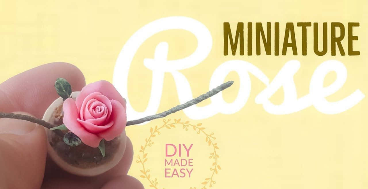 Miniature Roses, pink clay rose, miniature pot, HD Desktop Wallpaper