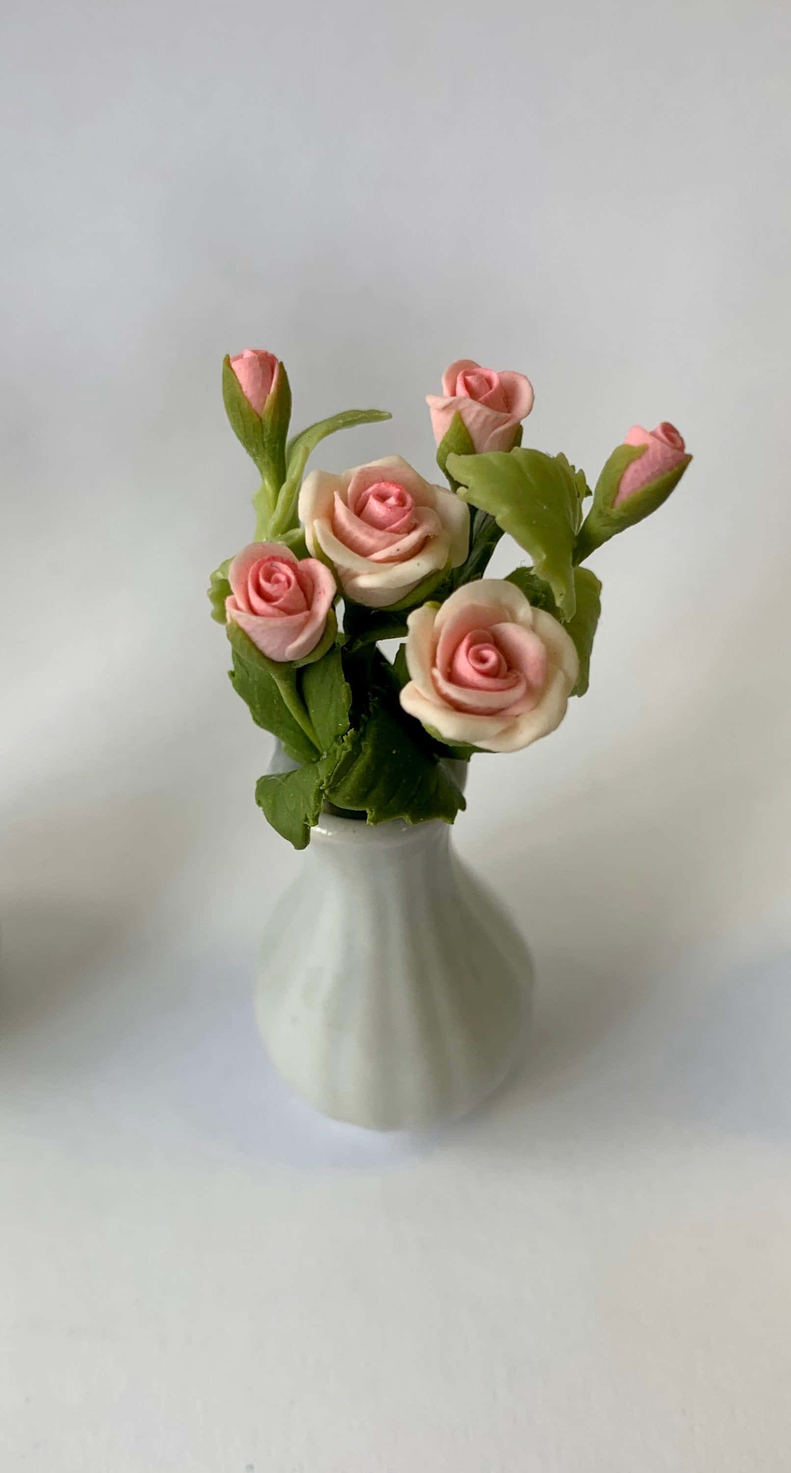 Miniature Roses, pink and cream roses, green leaves, 2K Phone Wallpaper