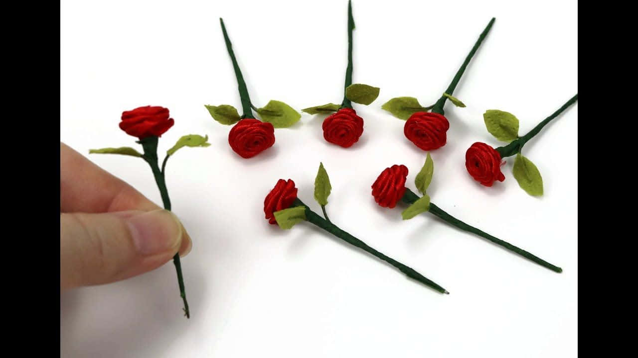 Miniature Roses, red felt rose, white surface, HD Desktop Wallpaper