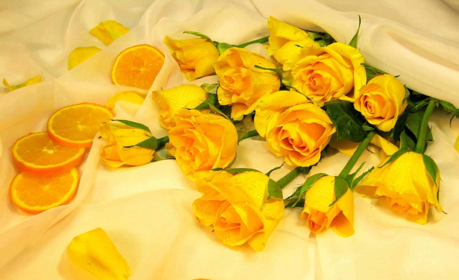 yellow roses, orange slices, soft white fabric, Full HD Desktop Wallpaper