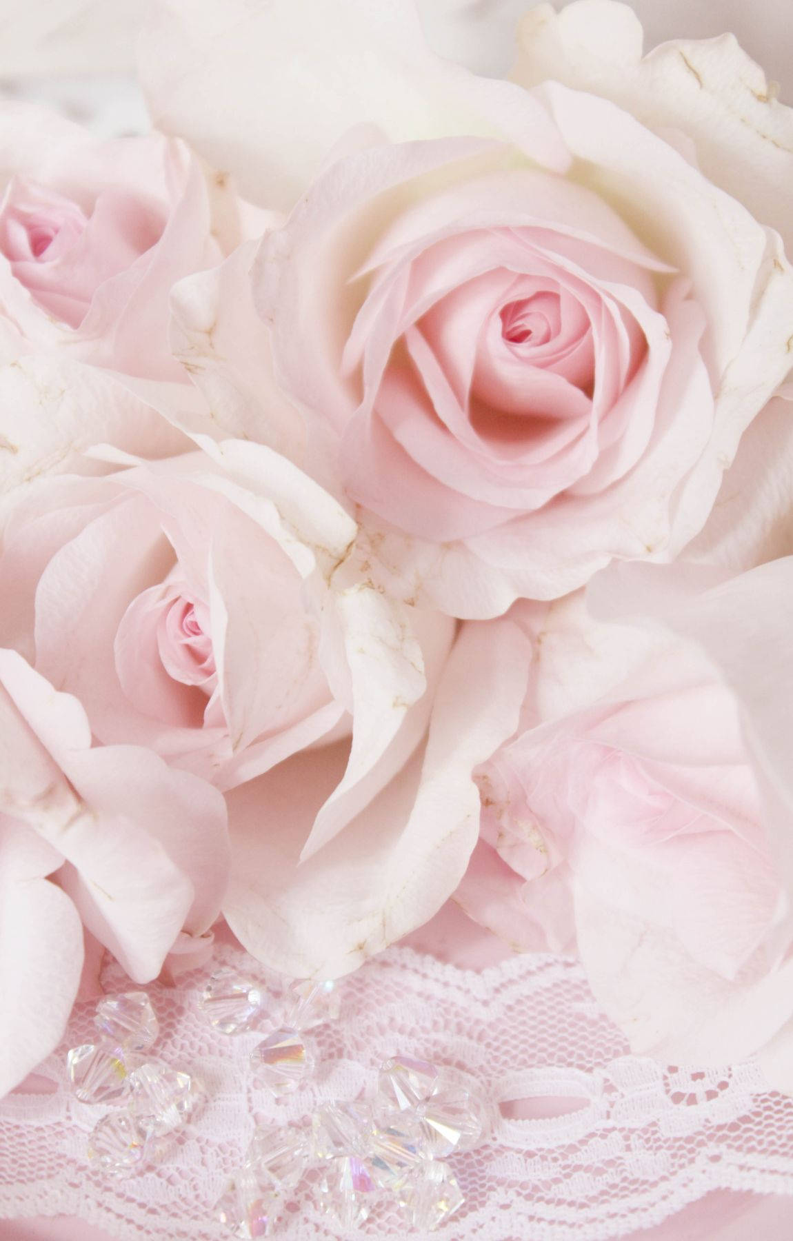 baby pink roses, lace, sparkling crystals, HD Phone Wallpaper