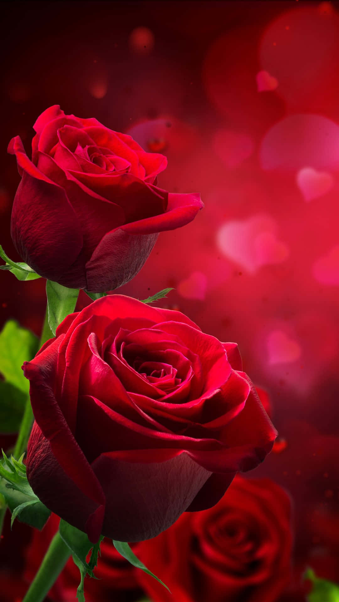 rose mobile, vivid red roses, dreamy red bokeh, Full HD Phone Wallpaper
