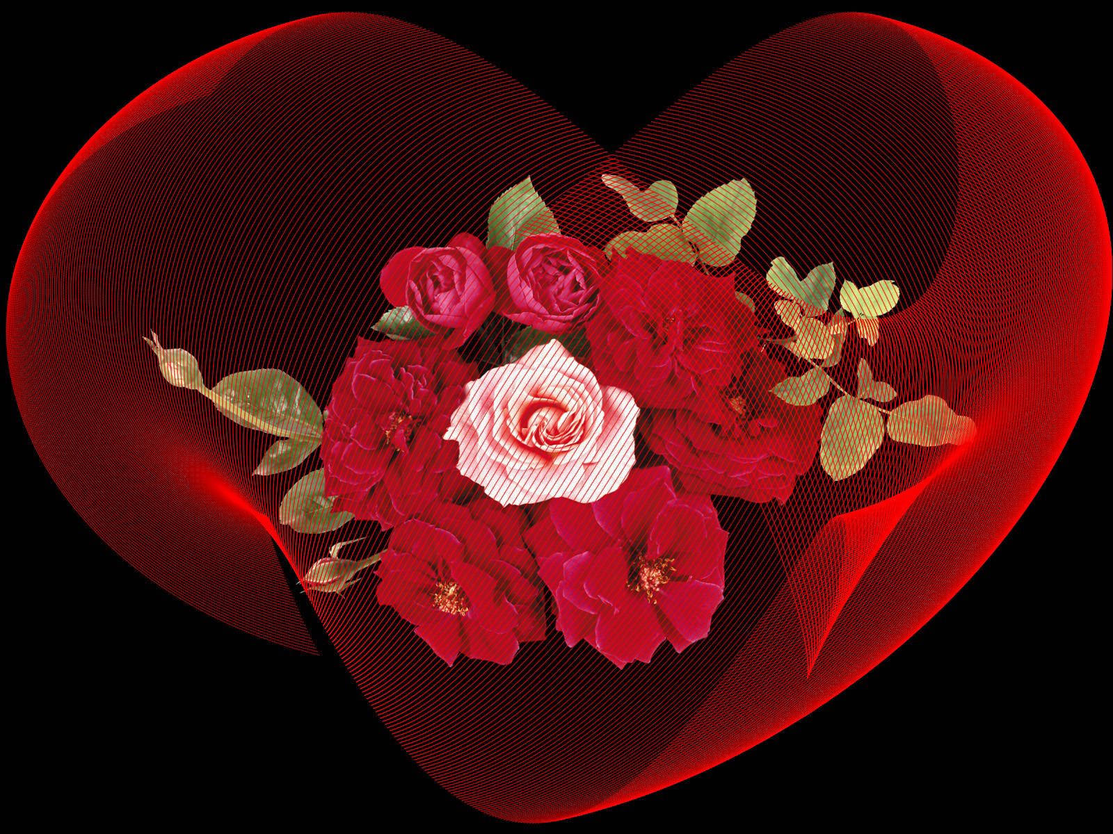 red roses, white rose, glowing red heart-shaped wireframe, HD Desktop Wallpaper