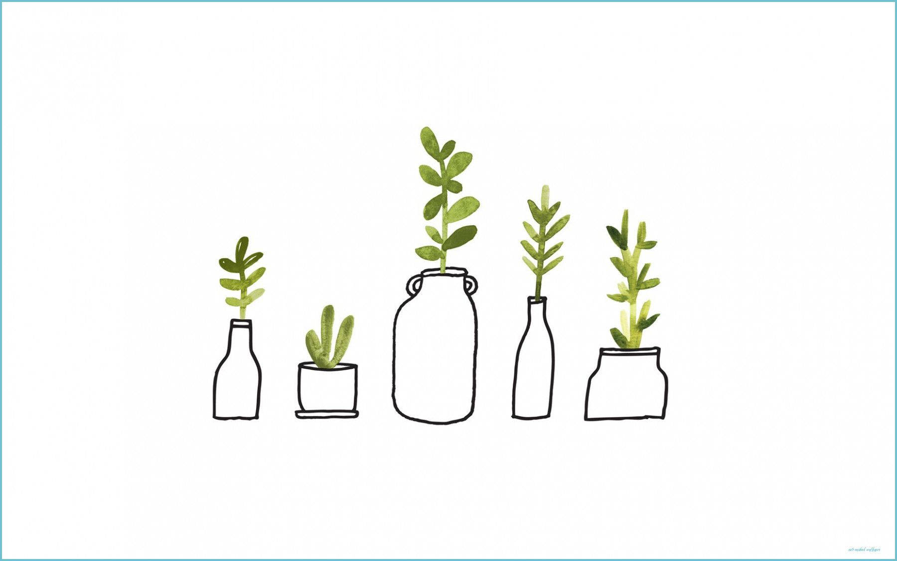 green plants, minimalist line-drawn plants, assorted bottles and pots, HD Desktop Wallpaper