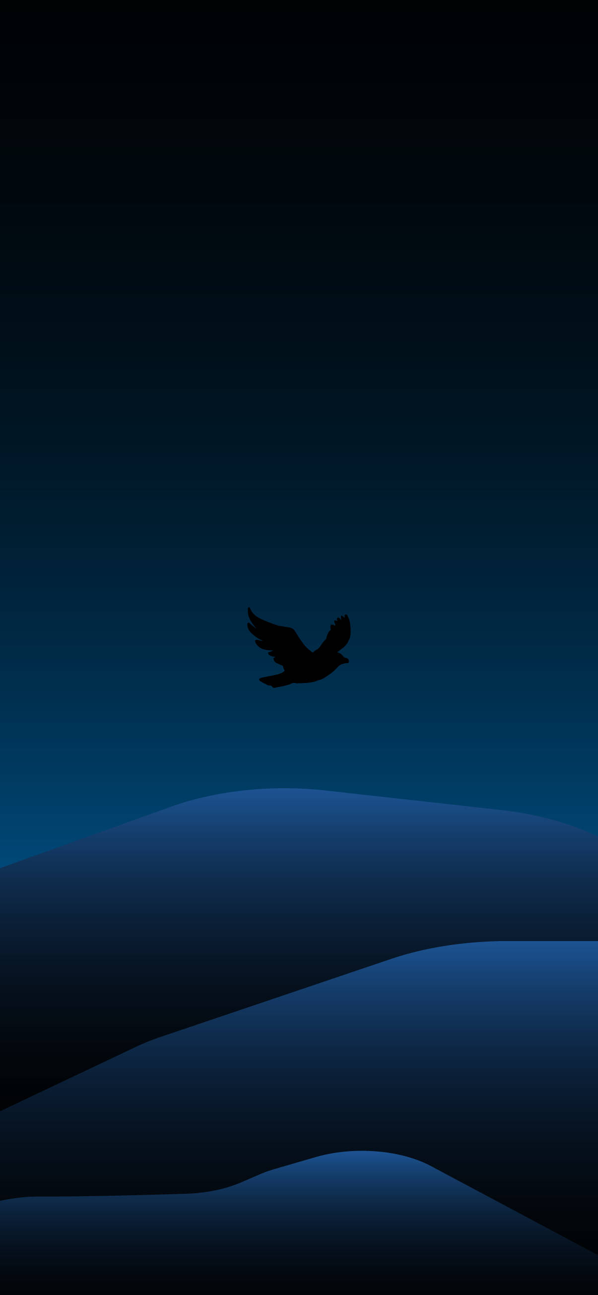 bird silhouette, smooth blue hills, gradient night sky, 2K Phone Wallpaper
