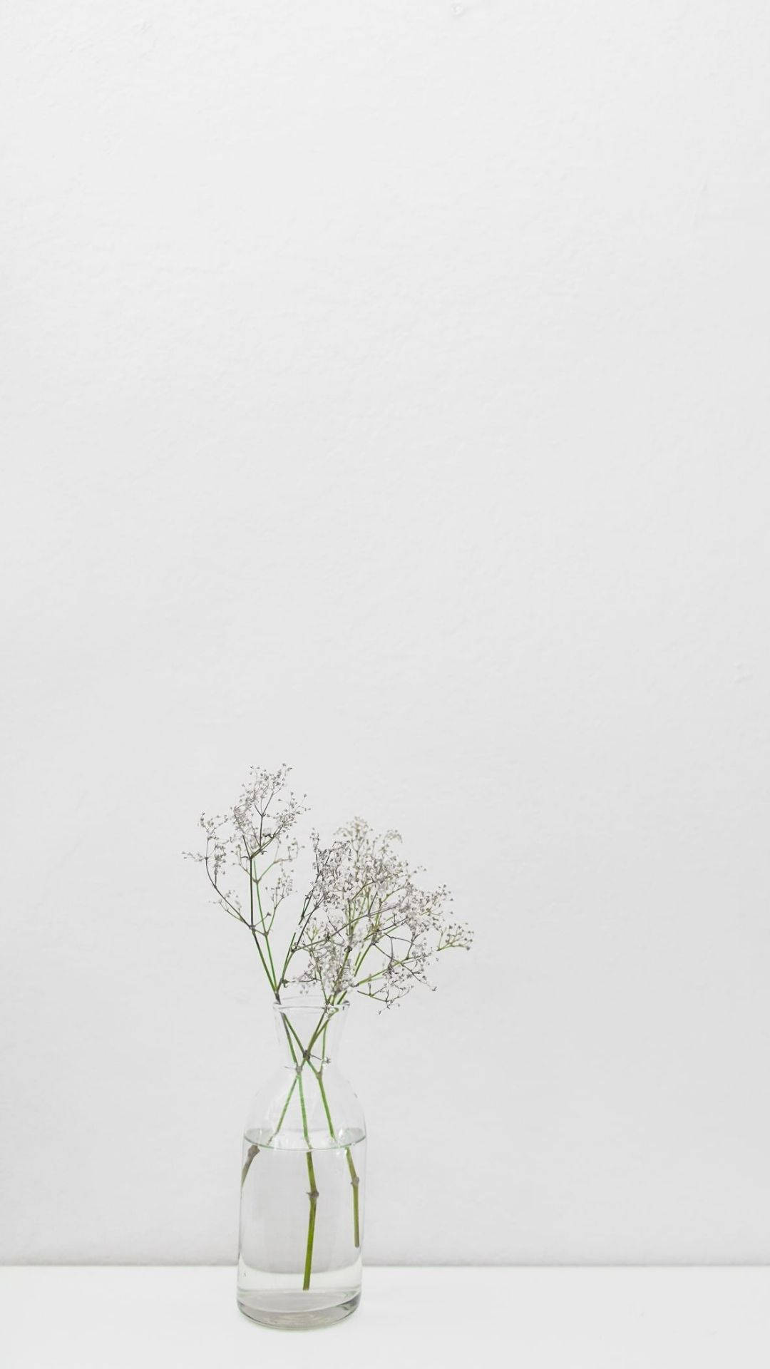 minimal white jar, minimalist glass vase, baby's breath flowers, Full HD Phone Wallpaper