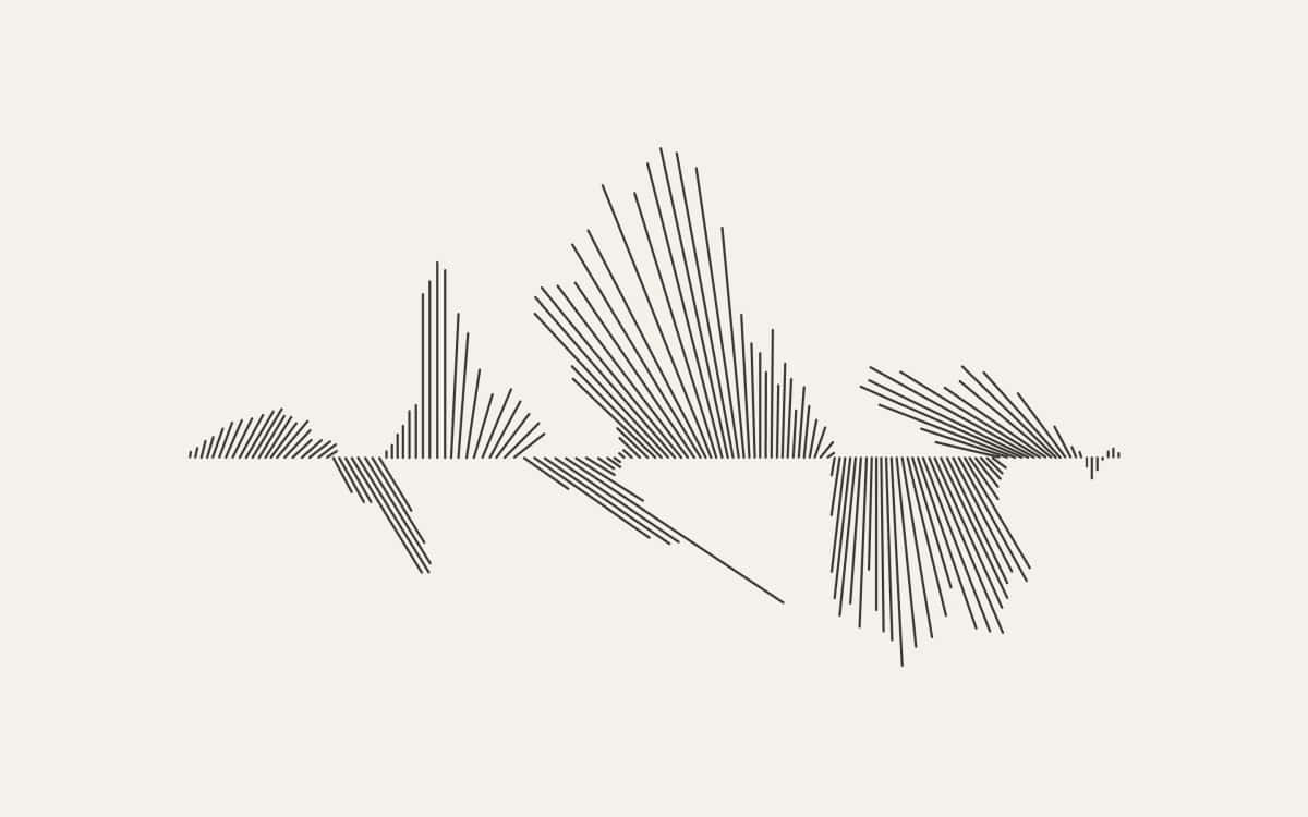 abstract minimalist, fish silhouette, dense black lines, SD Desktop Wallpaper