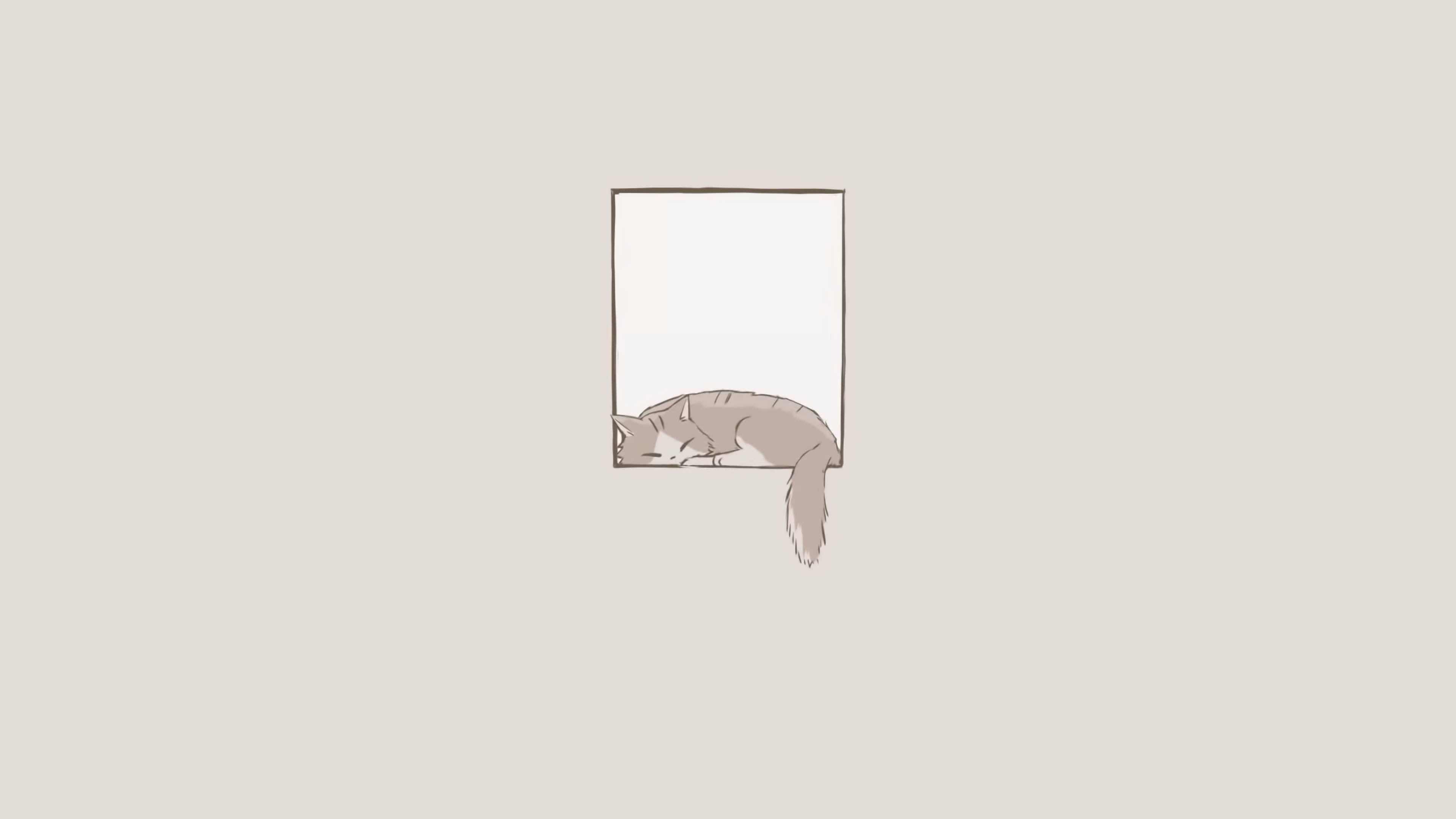 gray cat, sleeping, windowsill, 4K Desktop Wallpaper