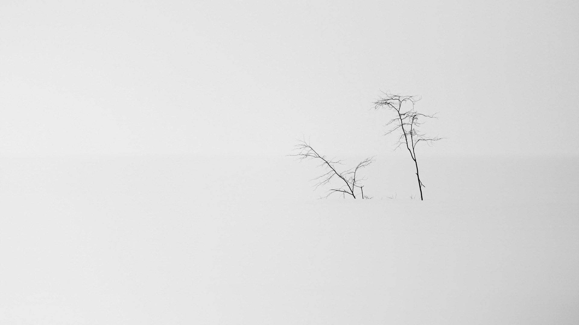 snowy landscape, minimalist aesthetic laptop, bare trees, Full HD Desktop Wallpaper