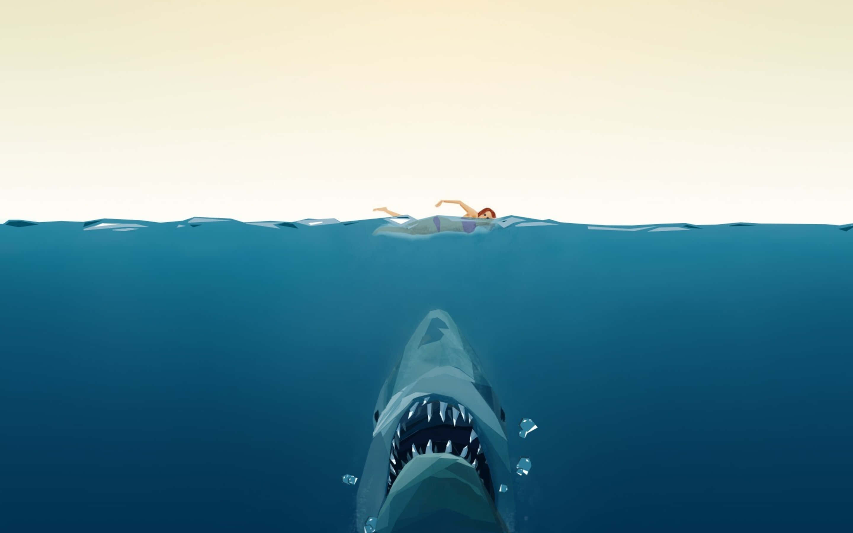 minimalist animal, swimmer, shark, 2K Desktop Wallpaper