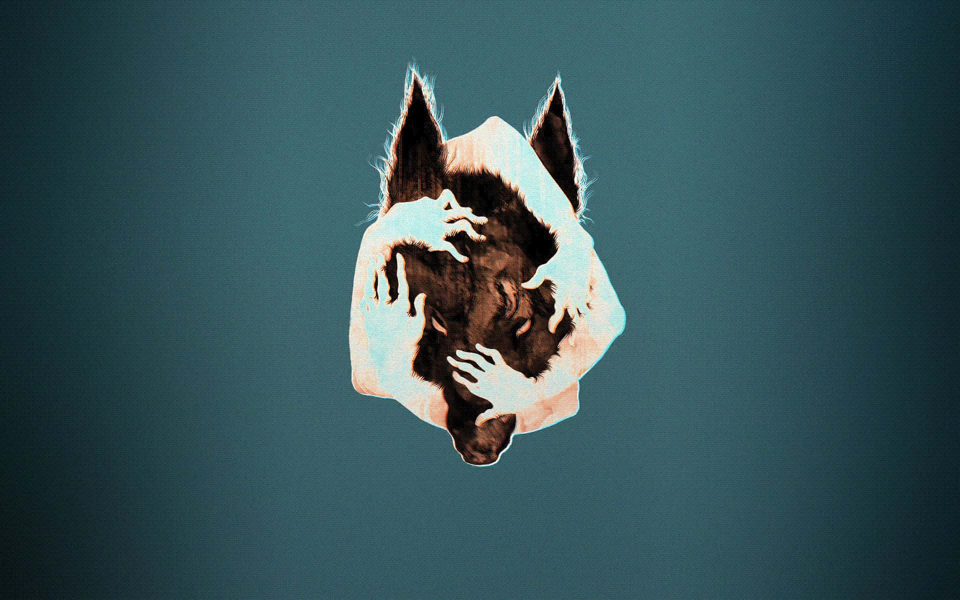 wolf, minimalist, melting white paint effect, Full HD Desktop Wallpaper