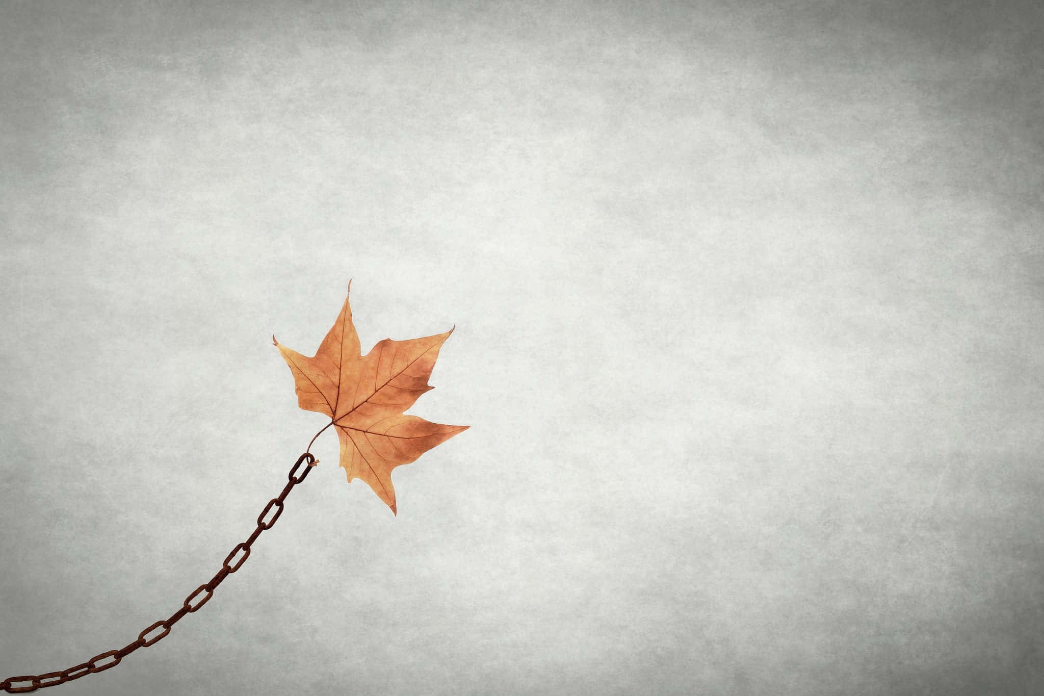 minimalist autumn, autumn maple leaf, rusted chain, Full HD Desktop Wallpaper