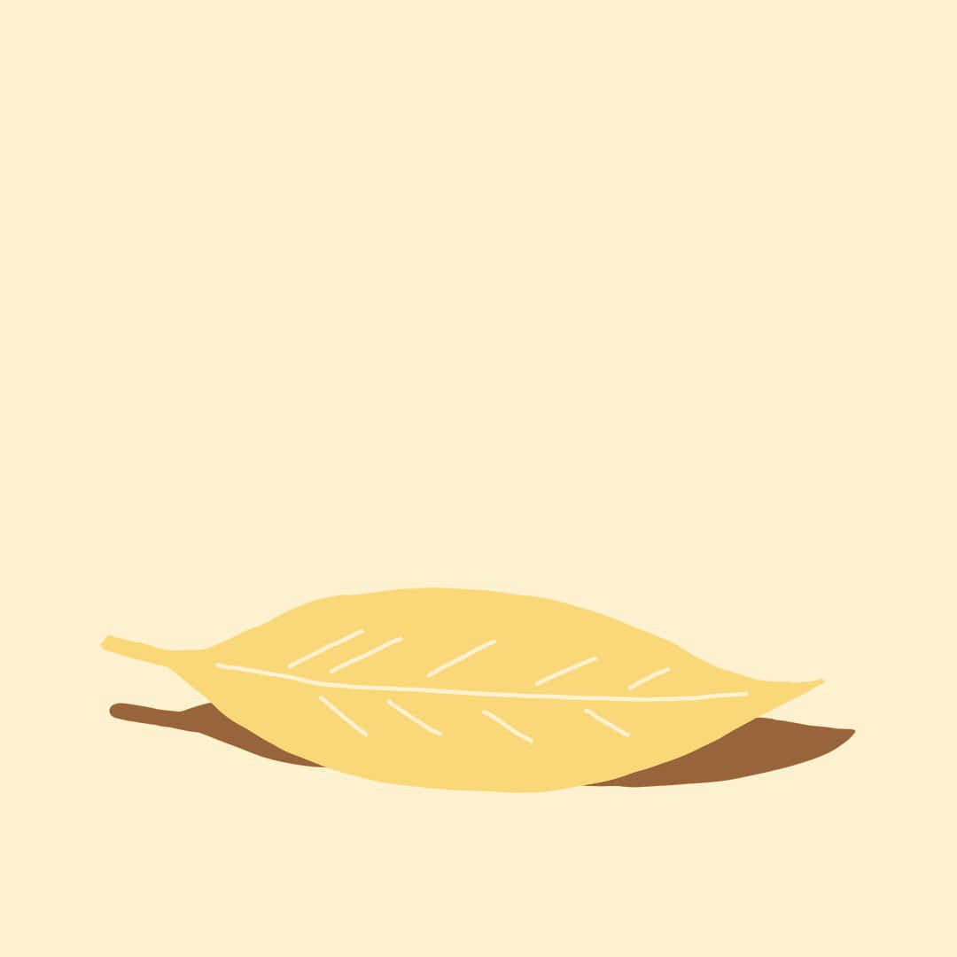 minimalist yellow leaf, white veins, brown stem, SD Desktop Wallpaper