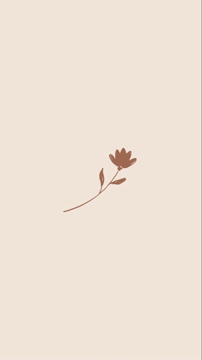minimalist autumn, brown, beige, SD Phone Wallpaper