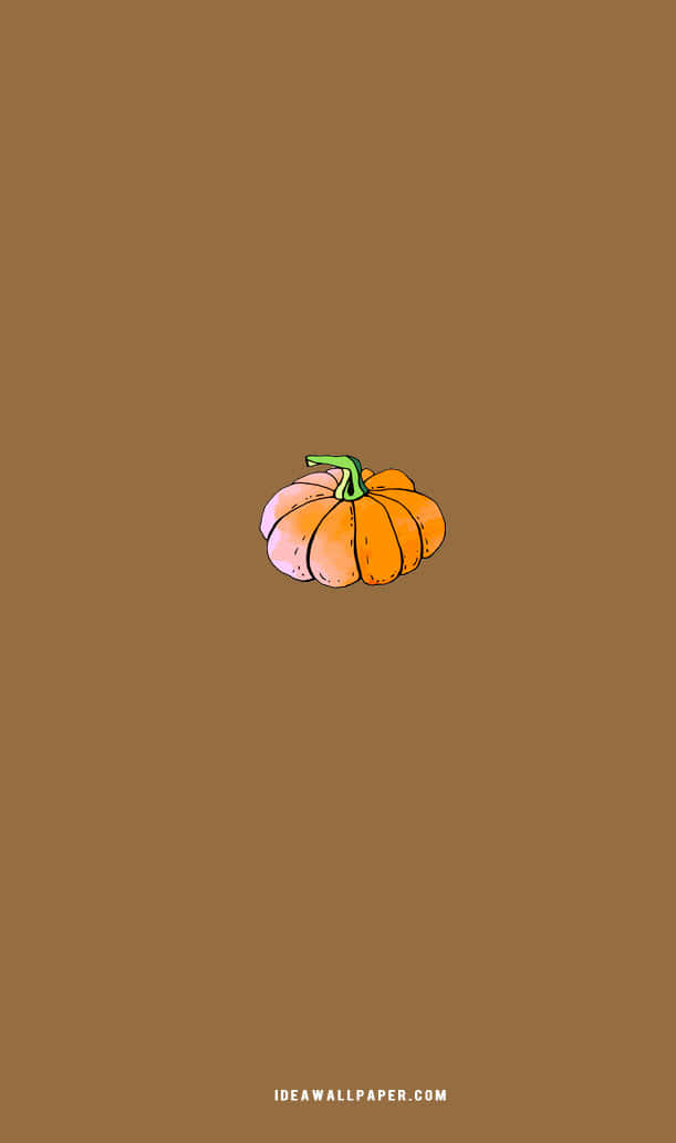 minimalist autumn, orange pumpkin, green stem, SD Phone Wallpaper