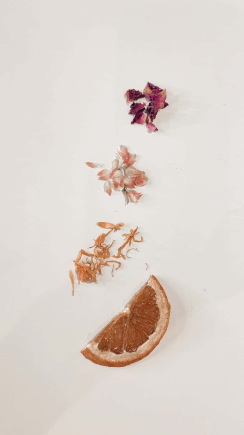 Minimalist Autumn, dried orange slice, three types of dried flowers, HD Phone Wallpaper