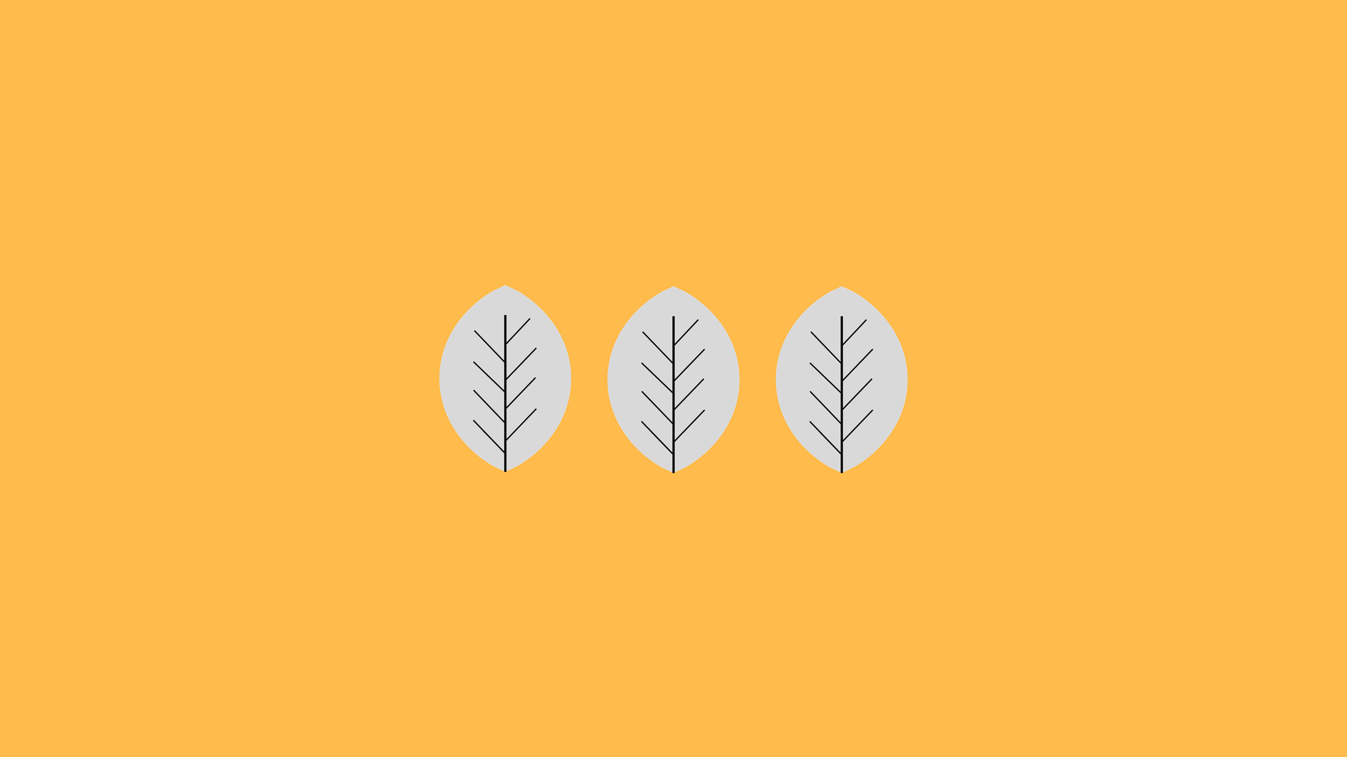 minimalist autumn, white leaves, black vein lines, 4K Desktop Wallpaper