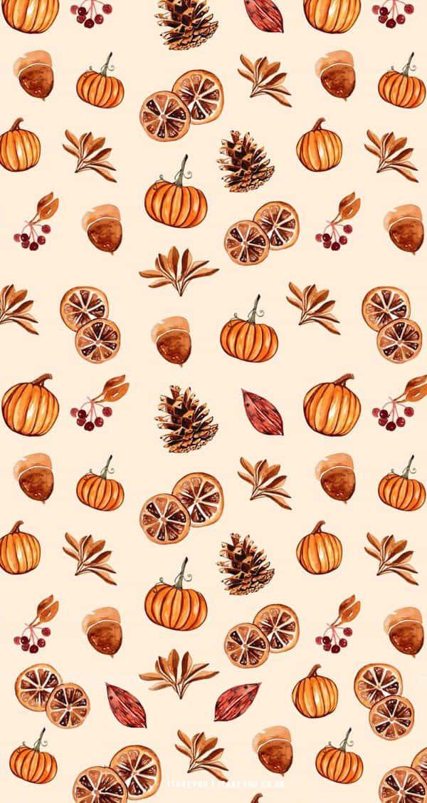 minimalist autumn, watercolor, pumpkins, SD Phone Wallpaper