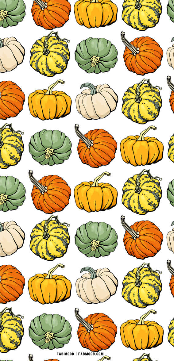 Minimalist Autumn, pumpkins, orange, SD Phone Wallpaper
