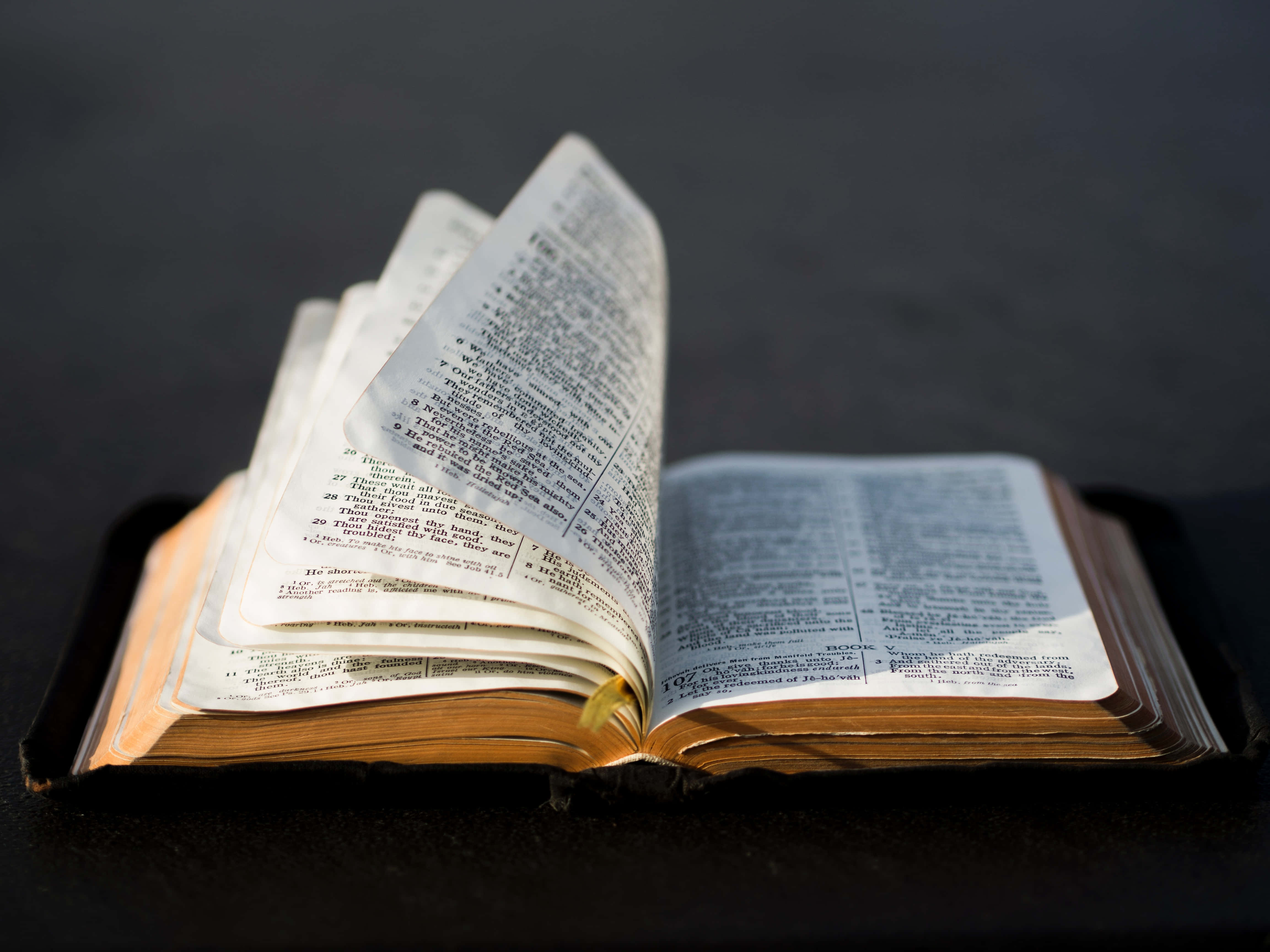 Minimalist Bible, Bible, aged pages, 4K Desktop Wallpaper