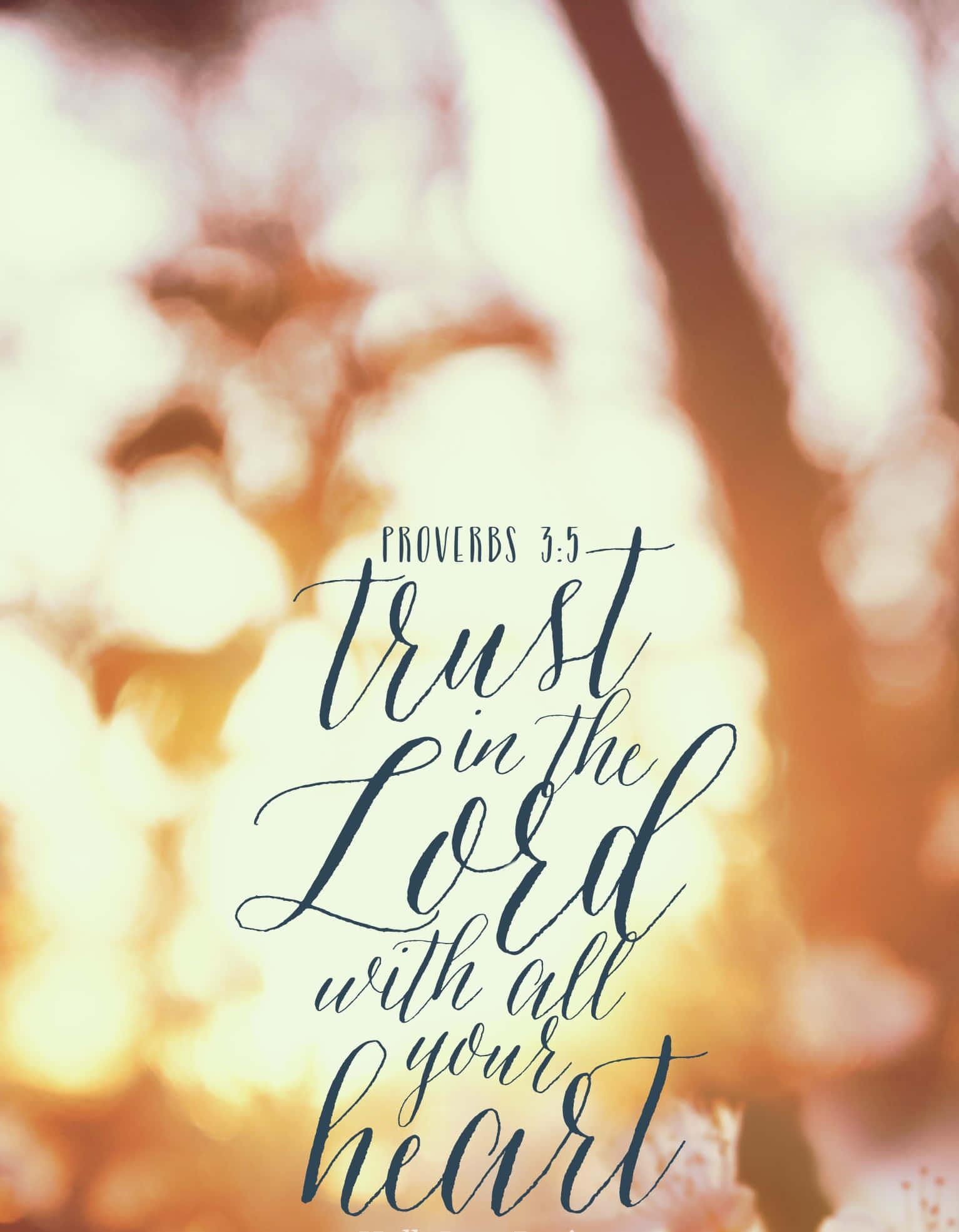 Minimalist Bible, Trust in the Lord with all your heart, elegant cursive text, Full HD Phone Wallpaper