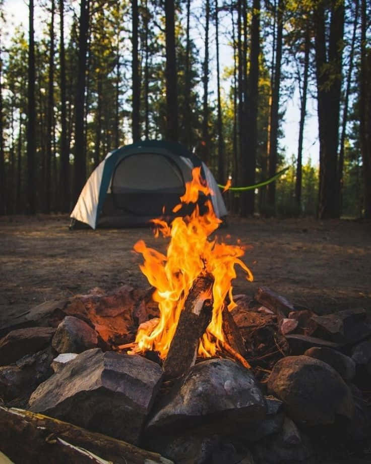 minimalist camping, starry sky, campfire, SD Phone Wallpaper