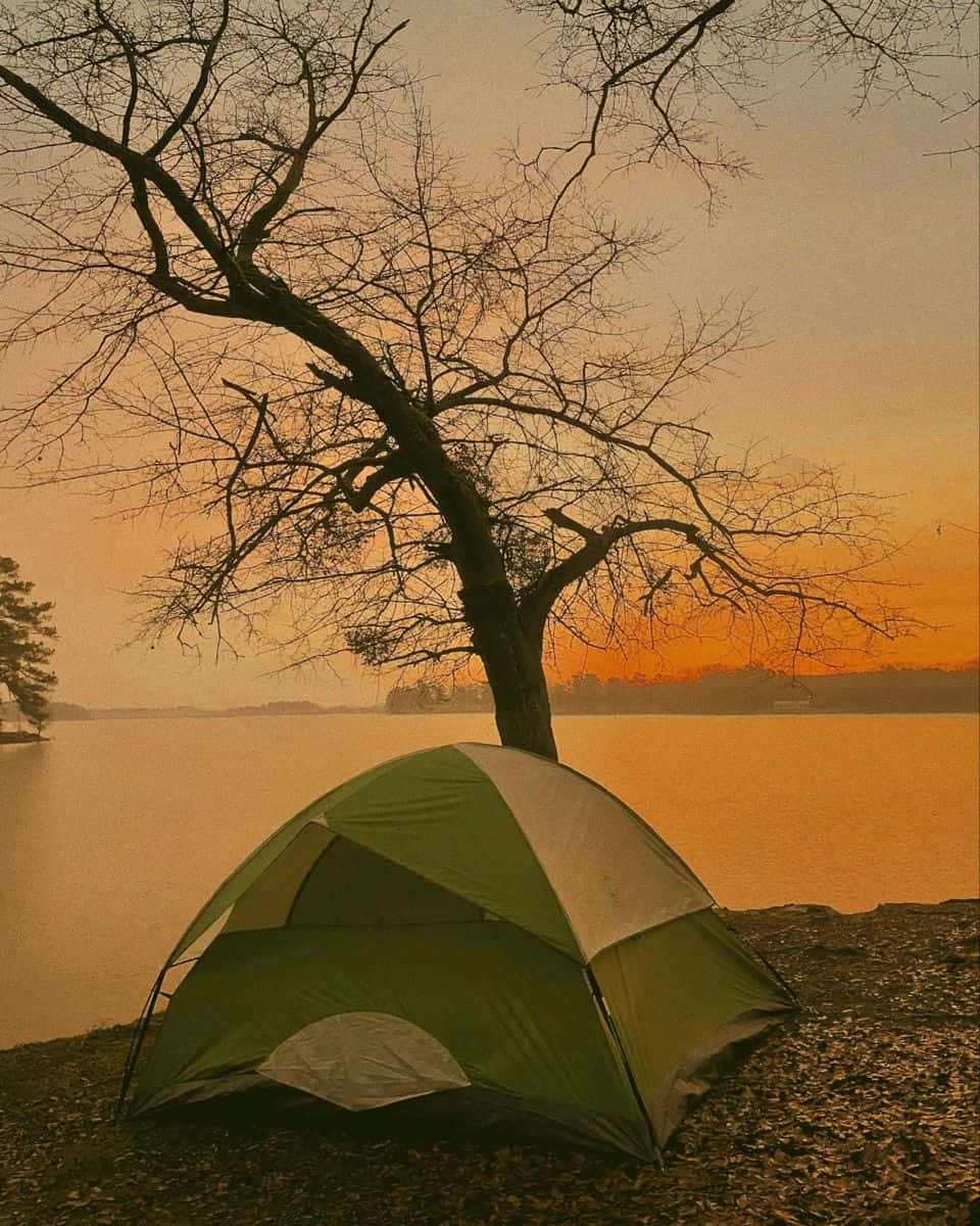 green and white tent, bare tree, calm lake, SD Phone Wallpaper