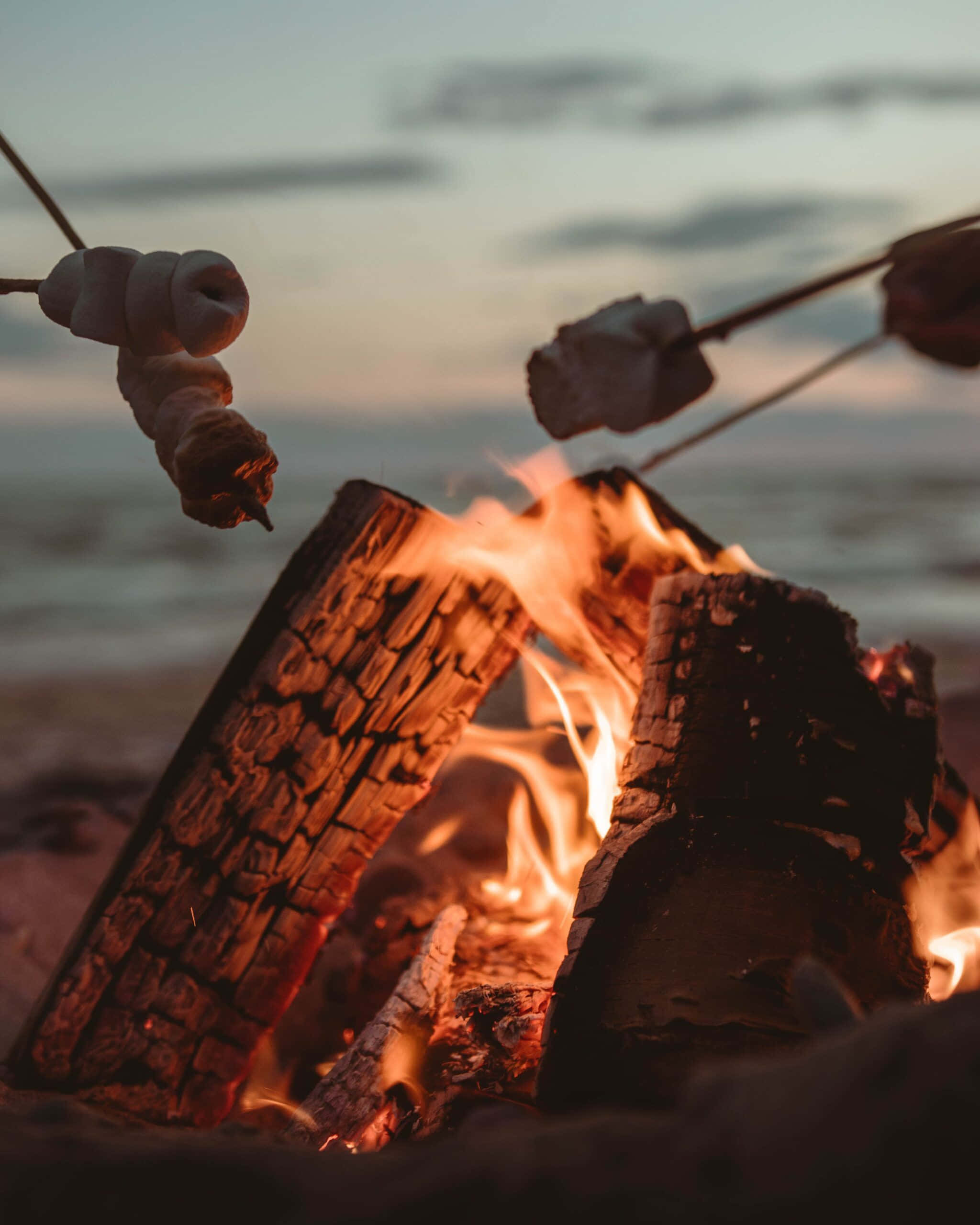 crackling beach campfire, sunset, warm hues, 2K Phone Wallpaper